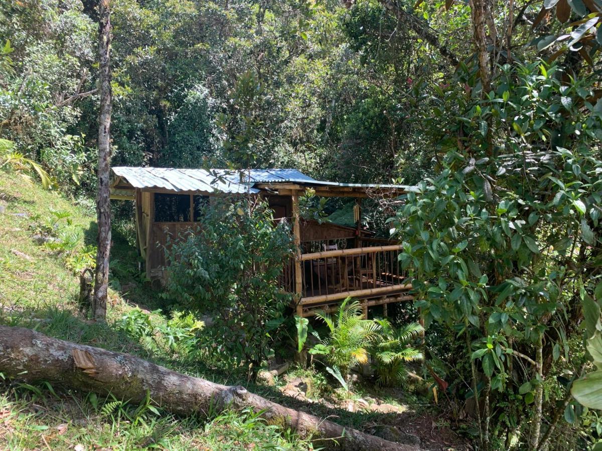La Casa De Loto Retreat Guatapé Extérieur photo